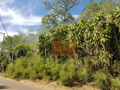 Lote/Terreno à venda, 5000m² no Santa Terezinha, Paulínia