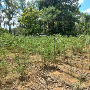 Lote/Terreno à venda, 500m² no Setor Lagoa Quente, Caldas Novas
