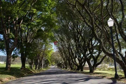 Lote/Terreno à venda, 1416m² no Jardim Alegre, Itupeva