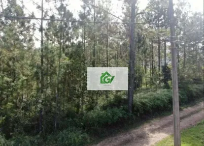 Lote/Terreno à venda, 2500m² no Capricórnio II, Caraguatatuba