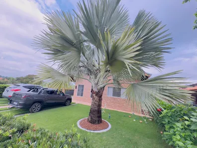 Casa de Condomínio com 3 Quartos à venda, 150m² no Condomínio Ninho Verde, Porangaba