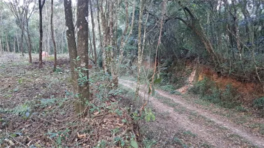 Lote/Terreno à venda, 1417m² no Roseira, Mairiporã