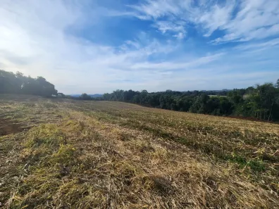 Lote/Terreno à venda, 35000m² no Área Rural de Chapecó, Chapecó