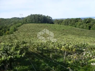 Fazenda/Sítio com 2 Quartos à venda, 237000m² no , Coronel Pilar