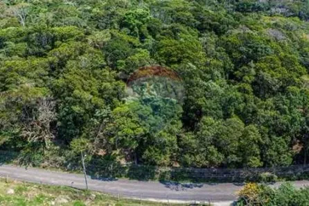 Lote/Terreno à venda, 106000m² no Pântano do Sul, Florianópolis