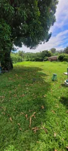 Fazenda/Sítio com 4 Quartos à venda, 295m² no Chácara Santa Margarida, Campinas