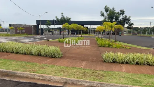 Lote/Terreno à venda, 278m² no Eplenum Tresor, São José do Rio Preto