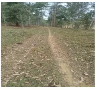 Casa com 1 Quarto à venda, 630000m² no Cataguarino, Cataguases