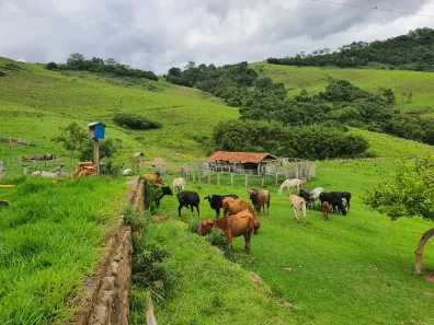 Fazenda/Sítio com 3 Quartos à venda, 200m² no 37620000, Munhoz