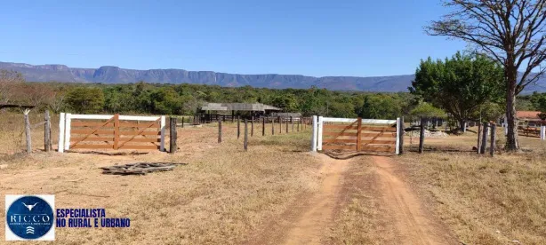 Fazenda/Sítio com 3 Quartos à venda, 295m² no Área Rural de Formosa, Formosa