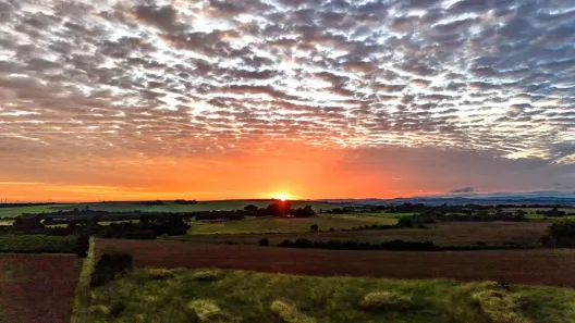 Fazenda/Sítio à venda, 212000m² no Área Rural de Jaguariúna, Jaguariúna