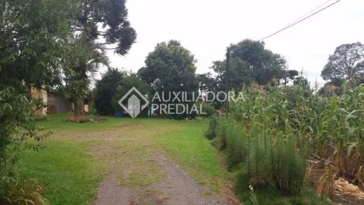 Lote/Terreno à venda, 4000m² no 7 de Setembro, Canela