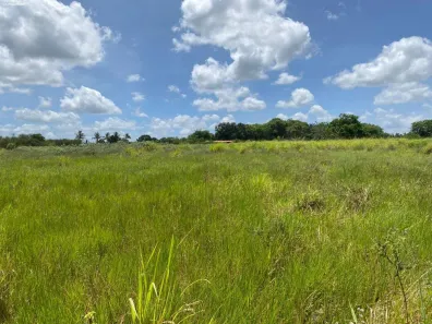 Fazenda/Sítio com 2 Quartos à venda, 170000m² no , São Gonçalo dos Campos