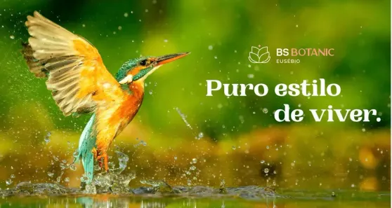 Lote/Terreno à venda, 320m² no Mangabeira, Eusébio