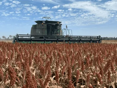 Fazenda/Sítio com 4 Quartos à venda, 26330000m² no , Bonito