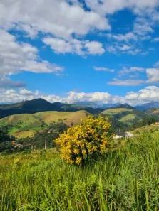 Lote/Terreno à venda, 1149m² no Pessegueiros, Teresópolis