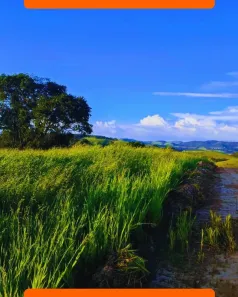 Lote/Terreno à venda, 500m² no Bosque dos Eucalíptos, Atibaia