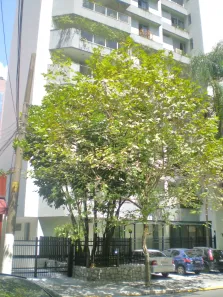 Apartamento com 3 Quartos para alugar, 160m² no Consolação, São Paulo