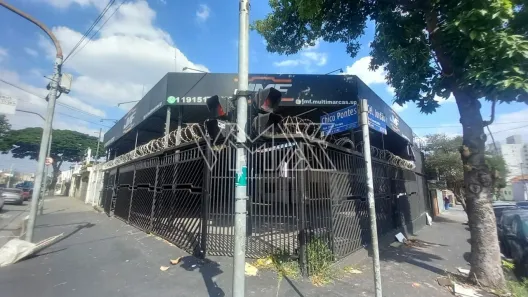 Galpão/Depósito/Armazém para alugar, 314m² no Vila Guilherme, São Paulo