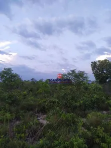 Fazenda/Sítio com 1 Quarto à venda, 31000000m² no Alto Parnaíba, Alto Parnaíba