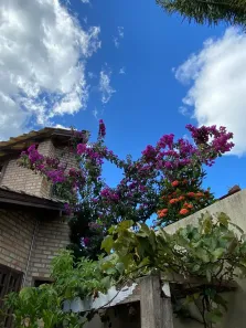 Casa com 4 Quartos à venda, 394m² no Córrego Grande, Florianópolis
