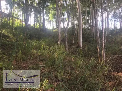 Lote/Terreno à venda, 448m² no Recanto Dos Eucaliptos, Paty do Alferes