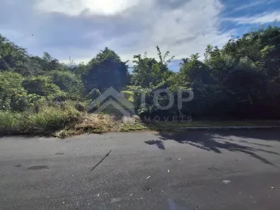 Lote/Terreno à venda, 250m² no Residencial Samambaia, São Carlos