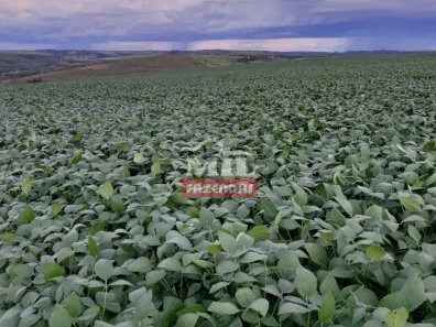 Fazenda/Sítio à venda, 500m² no , Cocalzinho de Goiás