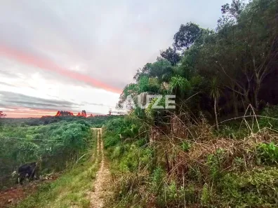 Fazenda/Sítio com 1 Quarto à venda, 10m² no Colônia Murici, São José dos Pinhais