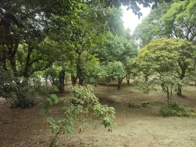 Fazenda/Sítio com 1 Quarto à venda, 37000m² no Tinguá, Nova Iguaçu