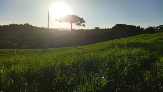 Fazenda/Sítio à venda, 20850m² no Bugre, Balsa Nova