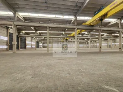 Galpão/Depósito/Armazém para alugar, 10000m² no Vila Alpina, São Paulo