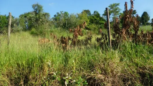 Lote/Terreno à venda, 17120m² no Chácaras Alpina, Valinhos