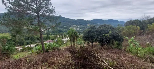 Lote/Terreno à venda, 2100m² no Floresta, Picada Café