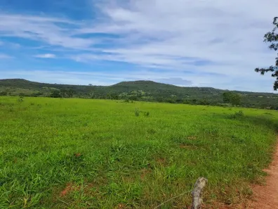 Fazenda/Sítio com 2 Quartos à venda, 145200m² no Área Rural de Caldas Novas, Caldas Novas