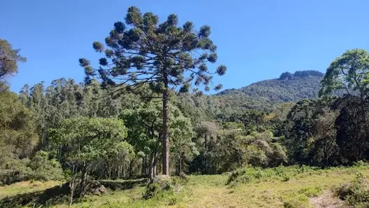Lote/Terreno à venda, 21000m² no Baú, São Bento do Sapucaí