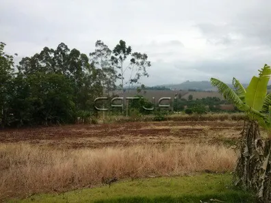 Lote/Terreno com 1 Quarto à venda, 5000m² no Jardim Vale Verde, Londrina