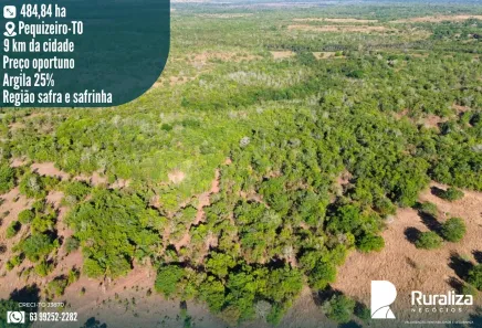 Fazenda/Sítio à venda, 484m² no , Pequizeiro