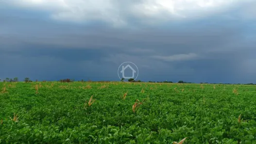 Fazenda/Sítio com 1 Quarto à venda, 5000m² no , Sidrolândia