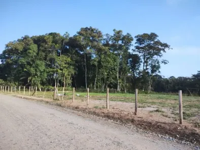 Lote/Terreno à venda, 15539m² no Areias Pequenas, Araquari