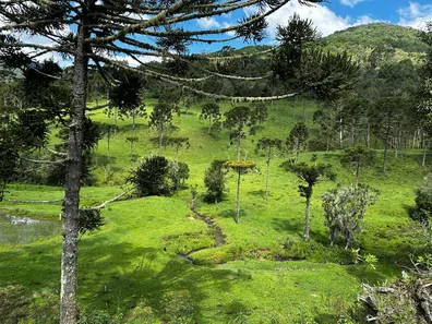 Fazenda/Sítio à venda, 700000m² no , Urubici