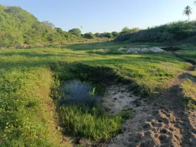 Fazenda/Sítio com 3 Quartos à venda, 200000m² no , Monte Alegre