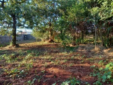 Lote/Terreno para alugar, 3000m² no Ribeirânia, Ribeirão Preto
