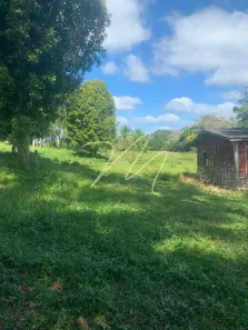 Fazenda/Sítio com 1 Quarto à venda, 10m² no , Una