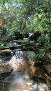 Fazenda/Sítio à venda, 3000m² no , São Miguel do Passa Quatro