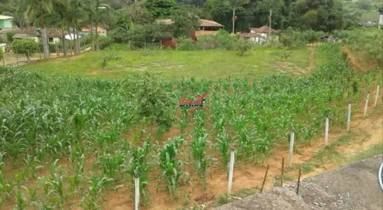 Lote/Terreno à venda, 2500m² no Área Rural de Ponte Nova, Ponte Nova