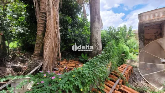 Lote/Terreno à venda, 12m² no Tabajaras, Uberlândia