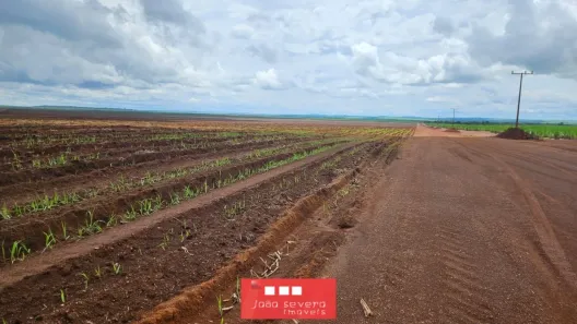 Fazenda/Sítio à venda, 5320000m² no , Pedro Afonso