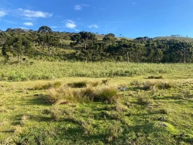 Fazenda/Sítio com 1 Quarto à venda, 30000m² no , Urubici
