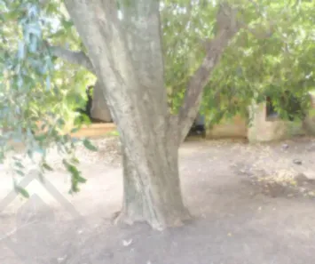 Lote/Terreno à venda, 333m² no Camaquã, Porto Alegre